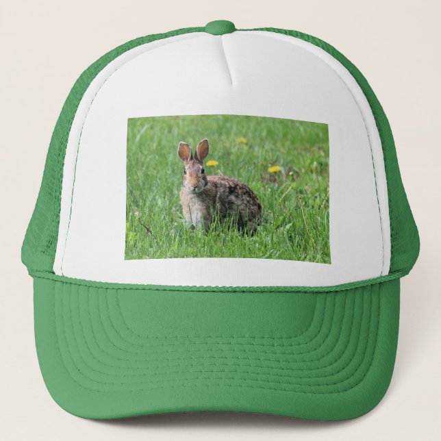 Casquette Lapin (Devant)