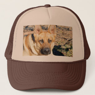 Casquette Le Berger Allemand Se Réveille,