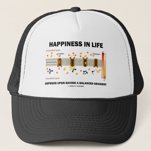 Casquette Le bonheur dans la vie dépend du gradient (Devant)