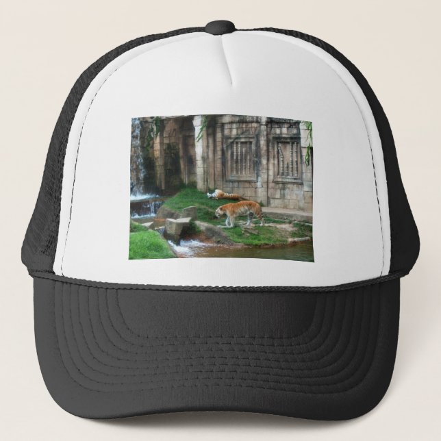 Casquette Le Den du Tigre (Devant)