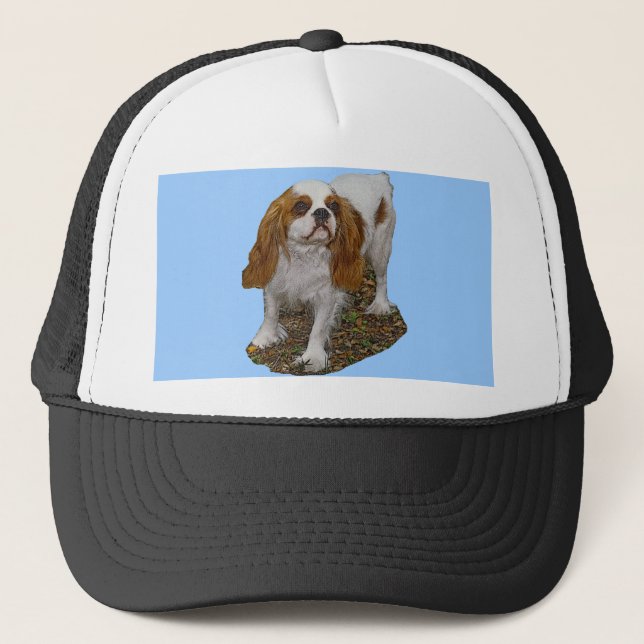 Casquette Le Roi cavalier Charles (Devant)