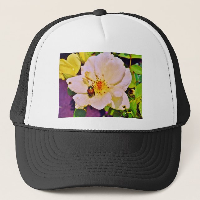 Casquette Le scarabée japonais sur la rose blanche (Devant)