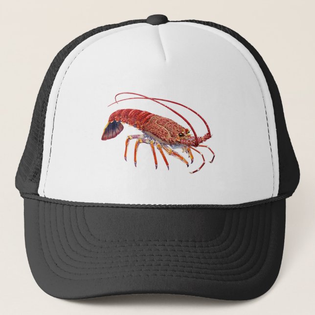 CASQUETTE LE SPINEY UN (Devant)