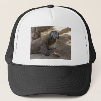 Casquette Lèchement de dragon de Komodo