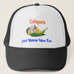Casquette Les caïques veulent juste avoir l'amusement
