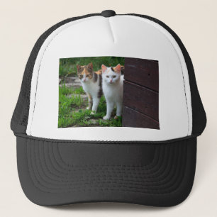 Casquette Les chats jouent