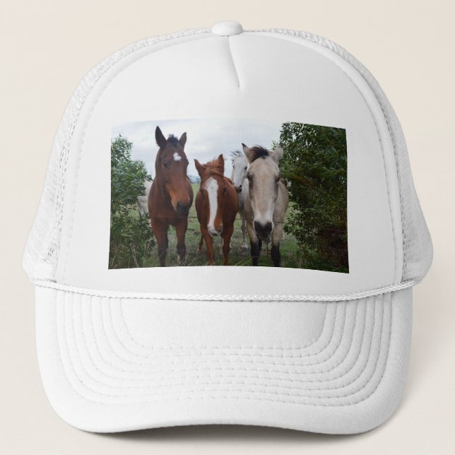 Casquette Les Cheveux Frissés, Quatre Pals De Cheval, (Devant)