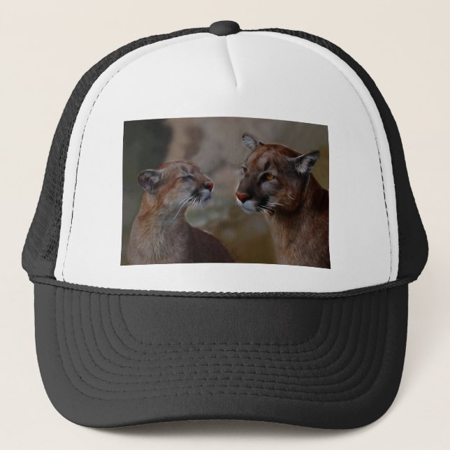 Casquette Les lions de montagne amoureux (Devant)