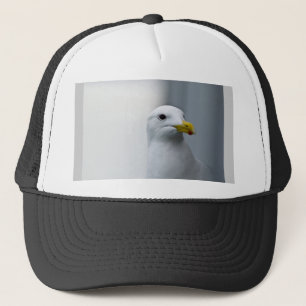 Casquette Les mouettes ont aussi besoin d'amour