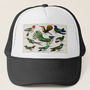 Casquette Les oiseaux de la jungle pour les enfants cadeaux 