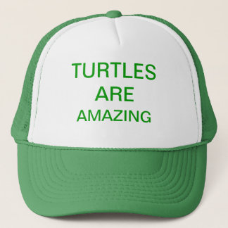 Casquette les tortues sont extraordinaires