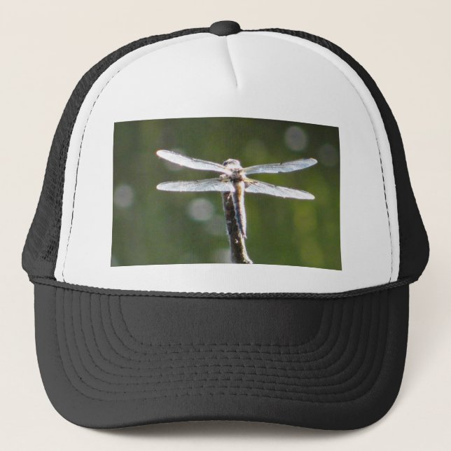 Casquette libellule gris clair (Devant)