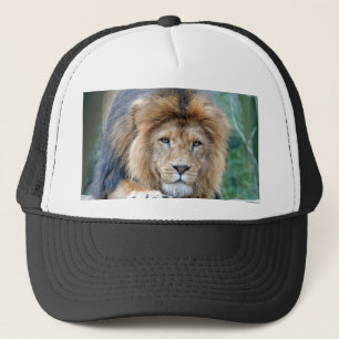 Casquette Lion