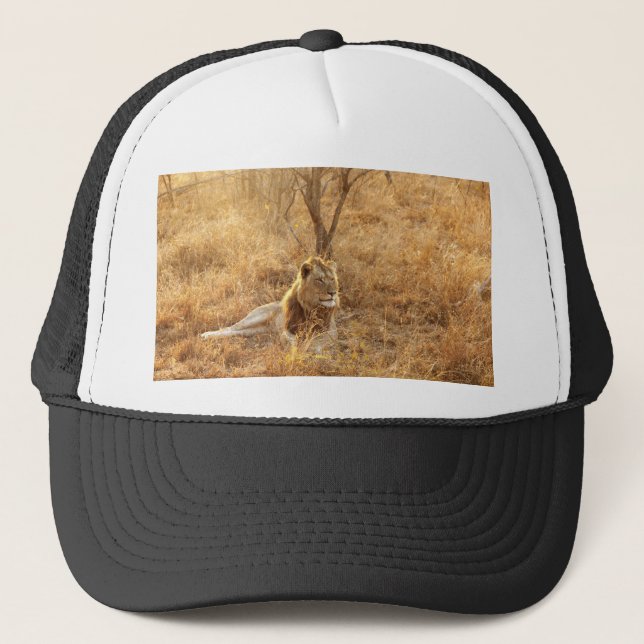 Casquette Lion (Devant)