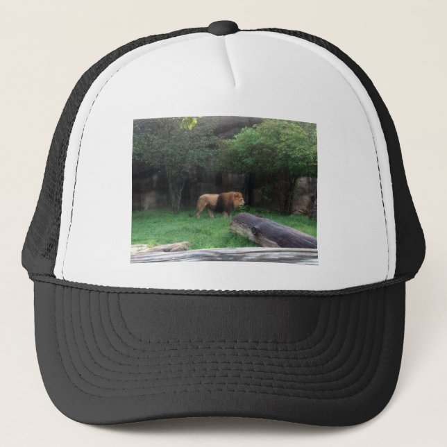 Casquette Lion (Devant)