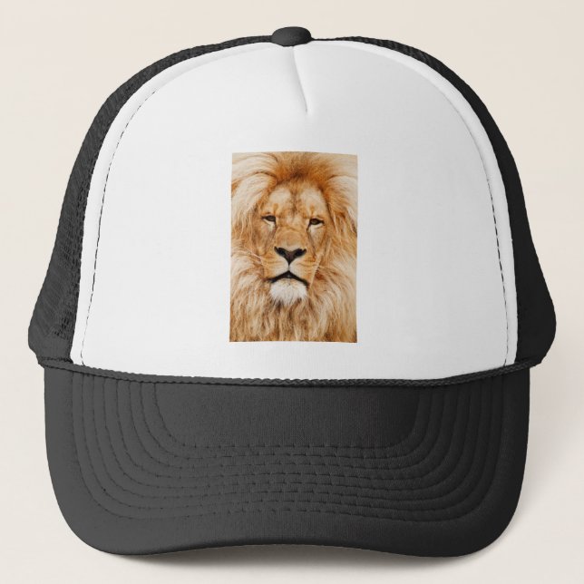 Casquette Lion (Devant)