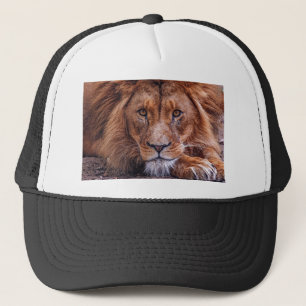 Casquette Lion africain