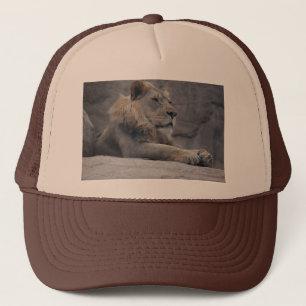Casquette Lion africain