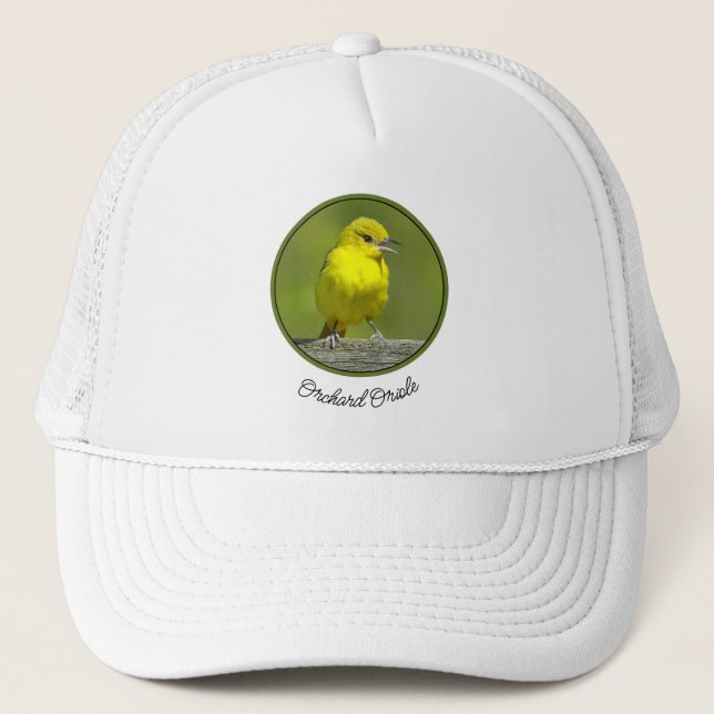 Casquette Loriole des vergers - Photographie originale (Devant)