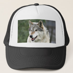 Casquette Loup