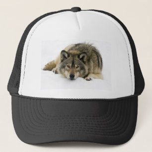 Casquette Loup