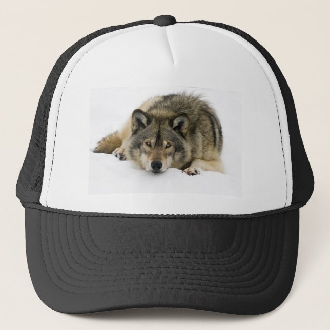 Casquette Loup (Devant)