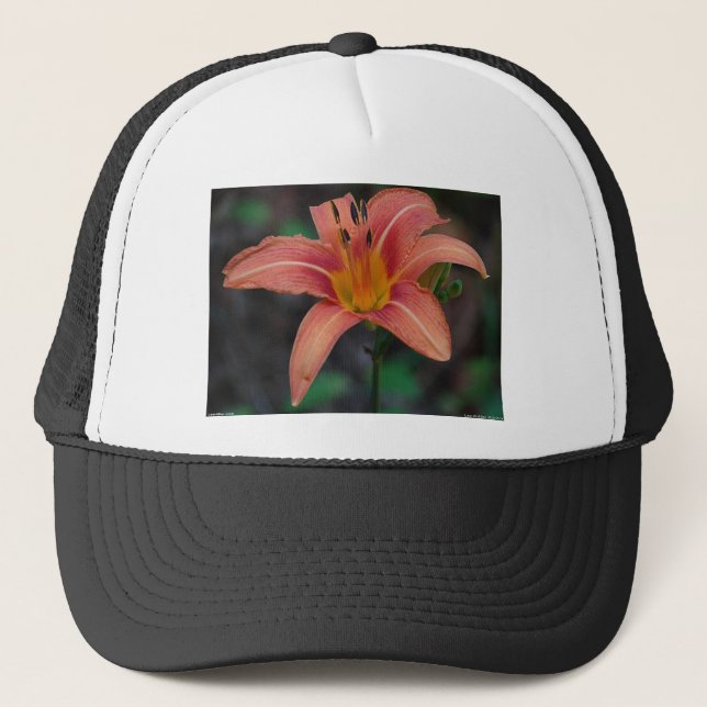Casquette Lovely Tawny Daylily Vêtements et cadeaux (Devant)