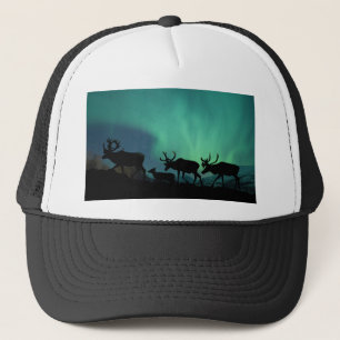 Casquette Lumières du caribou et du nord