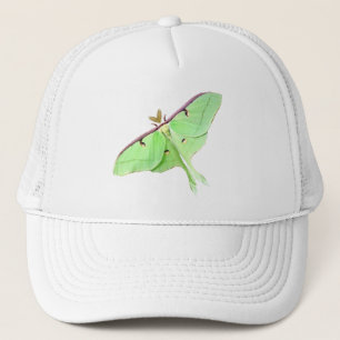 Casquette Luna Moth