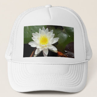 Casquette Lys d'eau