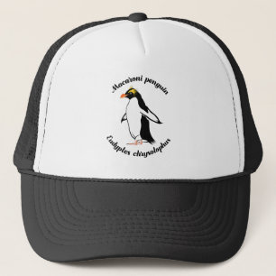 Casquette Macaroni Penguin