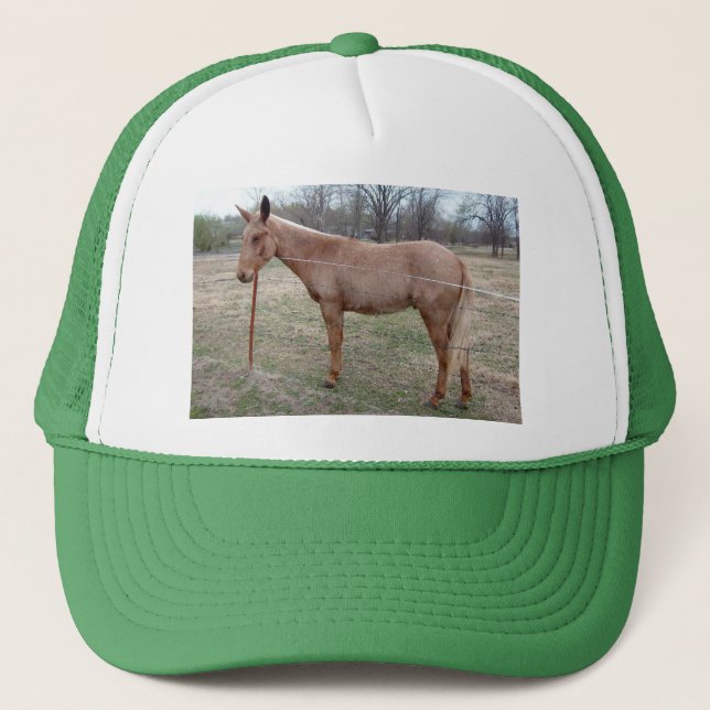 Casquette Magnifique Mule ! (Devant)