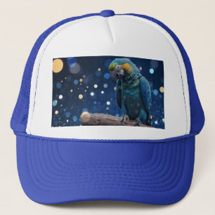 Casquette Majesté Bleue : La Macaw Bleue Sur Dreamy Blue Bok