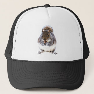 Casquette Manger l'écureuil