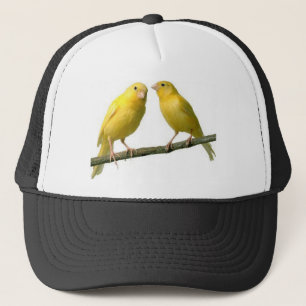 Casquette Marchandises pour animaux de compagnie Canary Bird