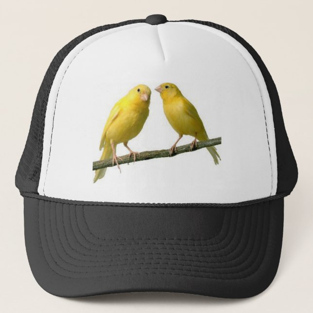Casquette Marchandises pour animaux de compagnie Canary Bird (Devant)