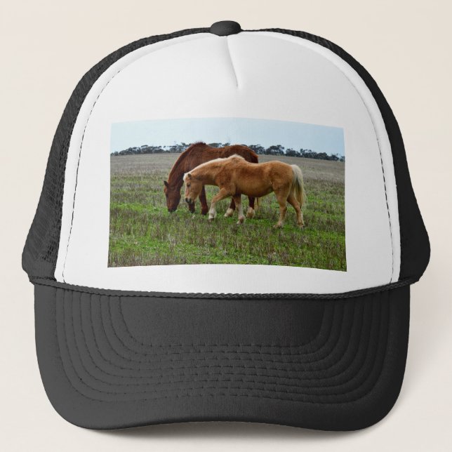 Casquette Mare De Châtaignes Et Foin De Palomino, (Devant)