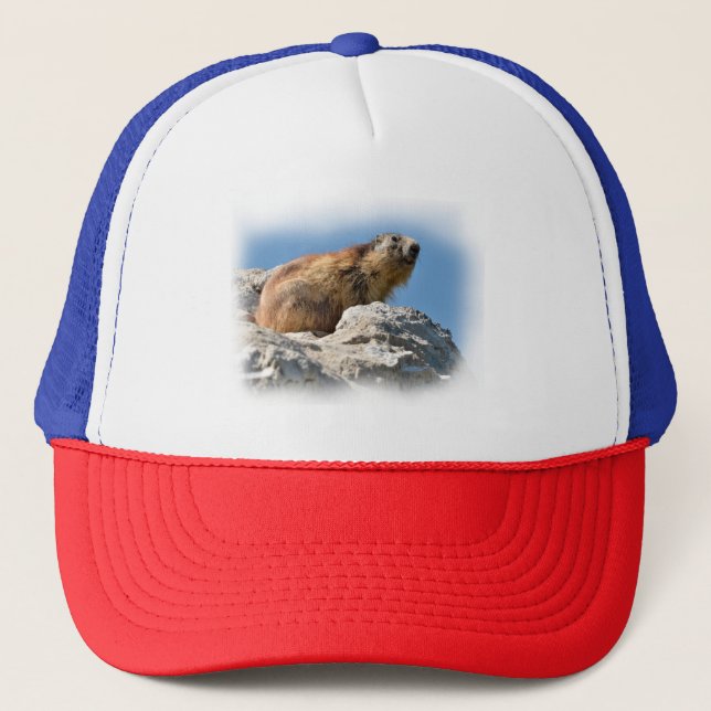 Casquette Marmotte alpine sur roche (Devant)
