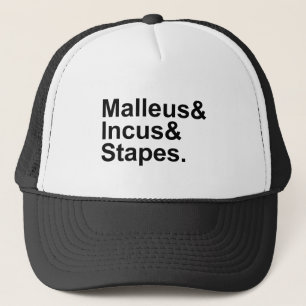 Casquette Marteau Enclume Étrier   Trois os de l'oreille moy