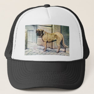 Casquette Mastiff