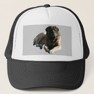 Casquette Mastiff Cape