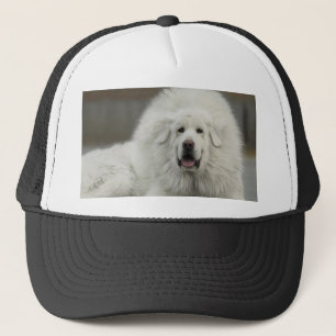 Casquette mastiff tibétain blanc frais