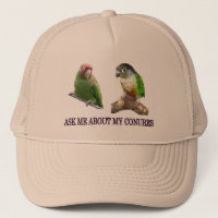 Me Demander Mon Conure