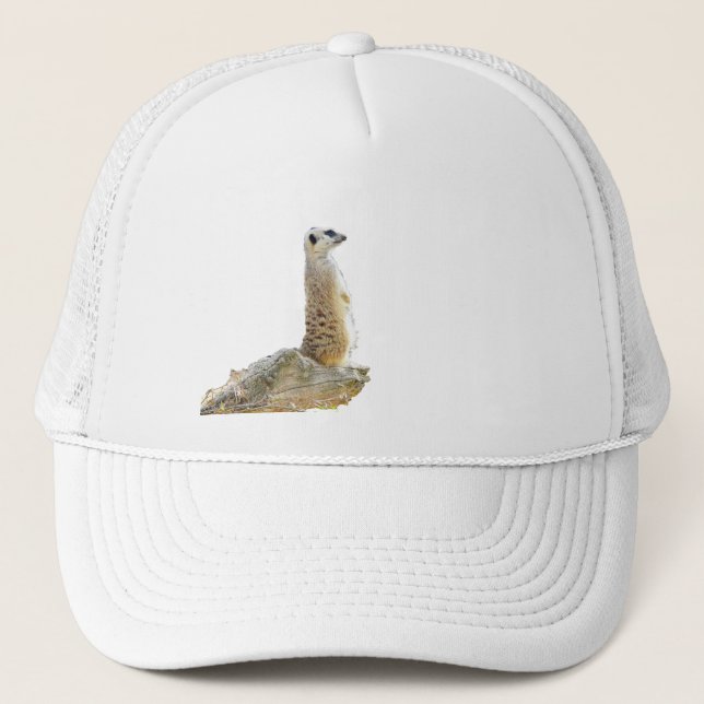 Casquette Meerkat, Sur La Rive Rocheuse, (Devant)