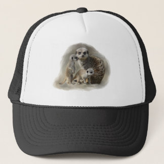 Casquette meerkats