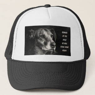 Casquette Méfiez-vous du chien, photo de l'animal de compagn