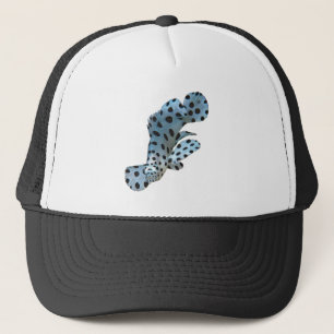 Casquette Mérou - Conception abstraite - Découpé d'une photo