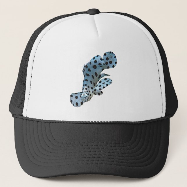 Casquette Mérou - Conception abstraite - Découpé d'une photo (Devant)