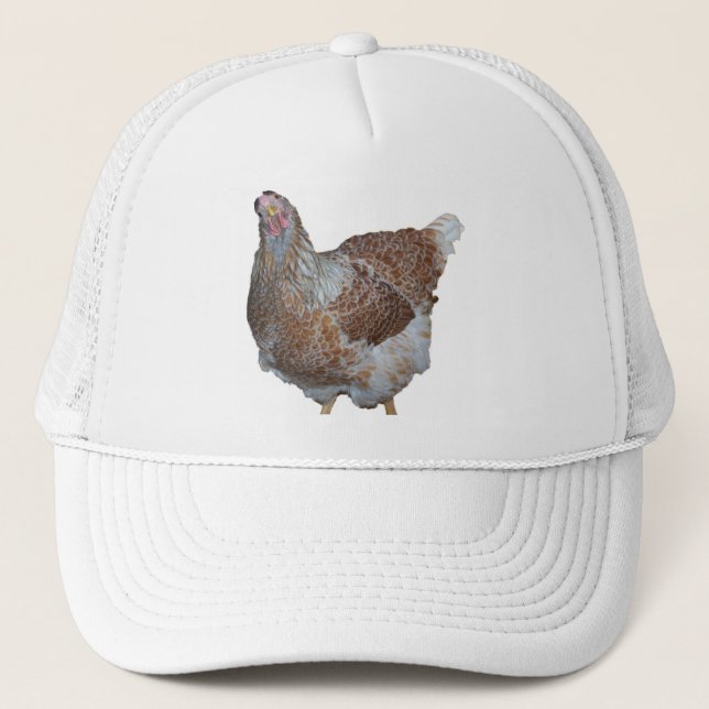 Casquette Miel la poule de Wyandotte lacée par bleu (Devant)