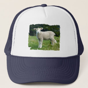 Casquette Mignon agneau boueux dans une prairie